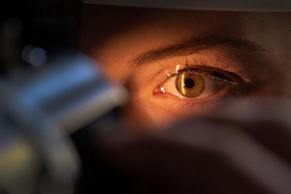 Mini-eye breeding in lab for the treatment of blindness