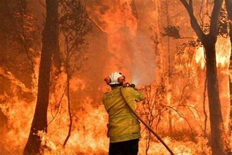 AI can predict when forest fires will occur