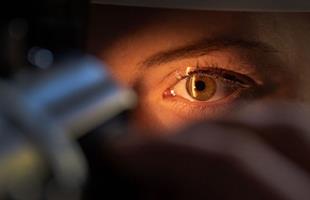 Mini-eye breeding in lab for the treatment of blindness