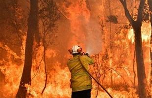 AI can predict when forest fires will occur